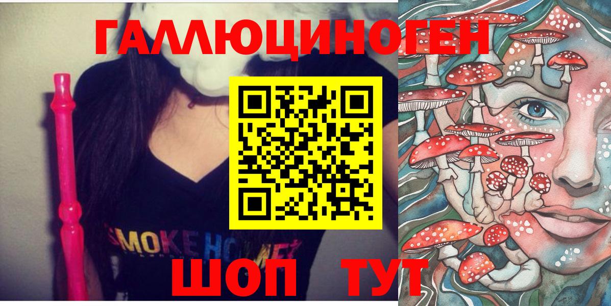 Галлюциногенные грибы Psilocybe Улан-Удэ