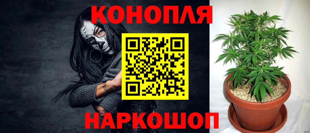 Шишки марихуана сатива  Вход с VPN  Улан-Удэ  Марихуана семена  Канабис VHQ  Конопля тримм 